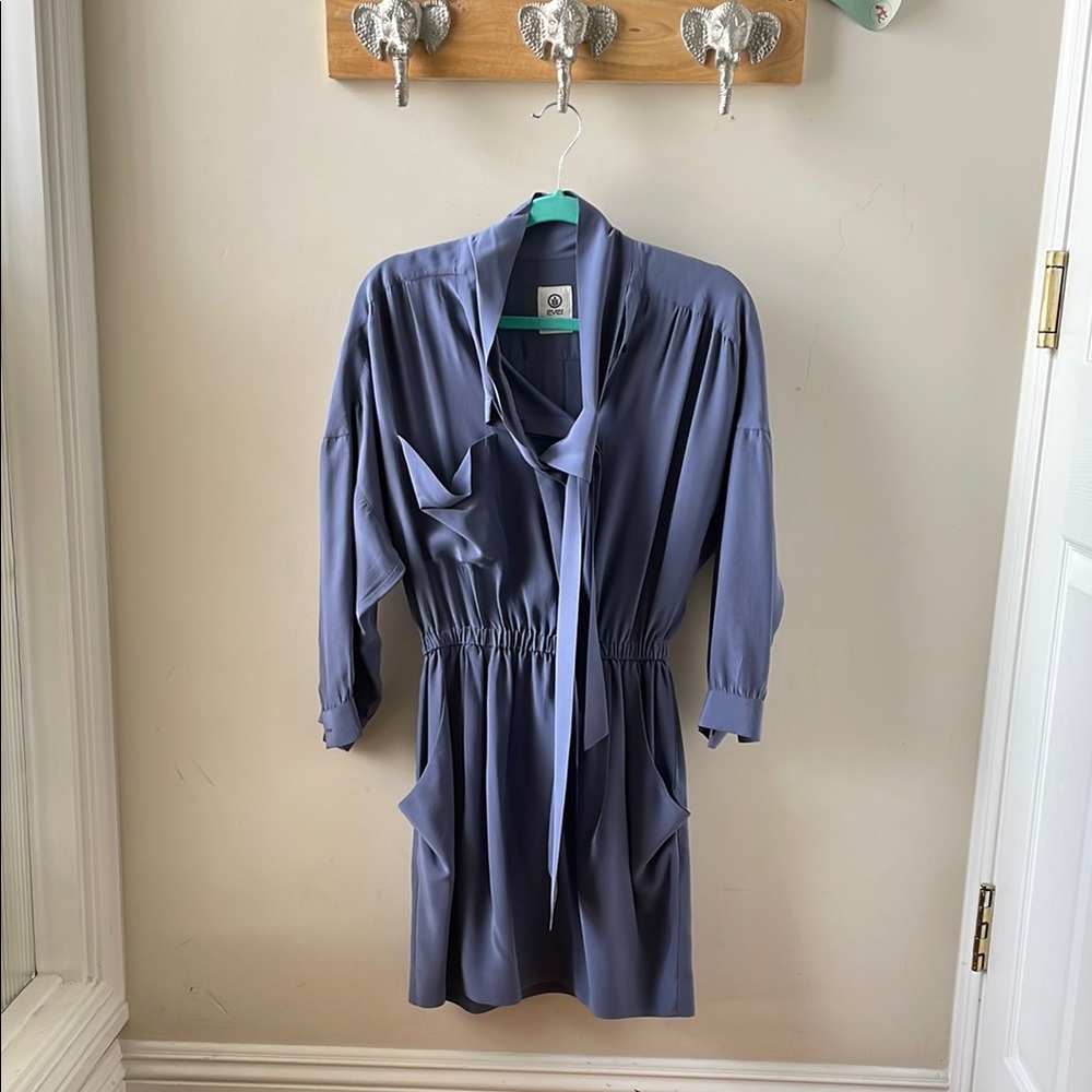 Everlane Small Elegant 100% Silk Blue Tie Dress